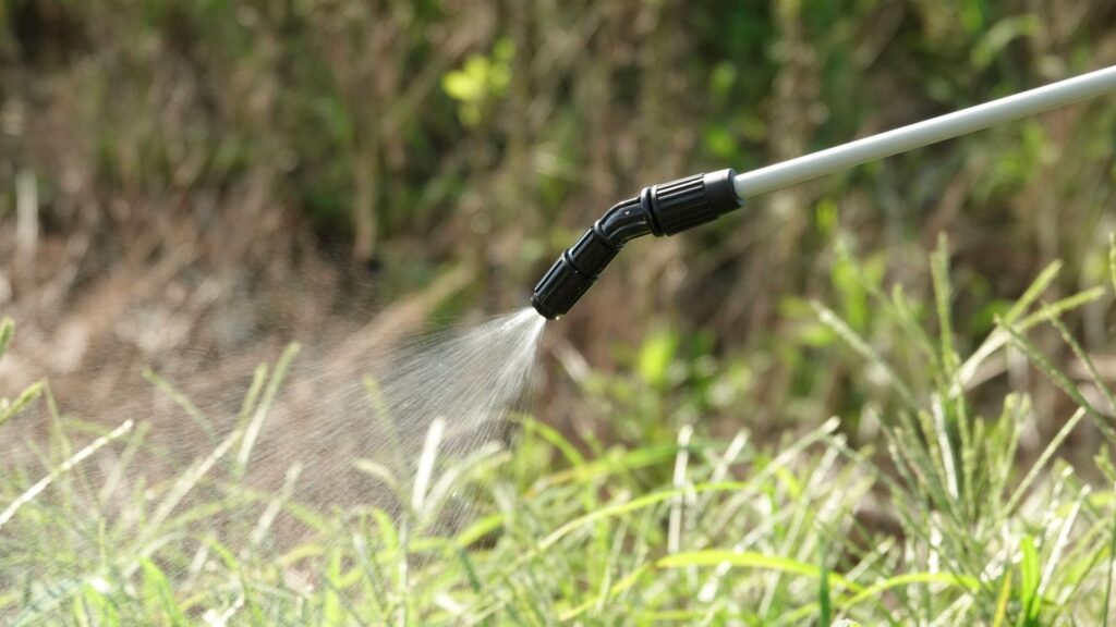 除草剤は雨の日でも使える？おすすめの撒くタイミング