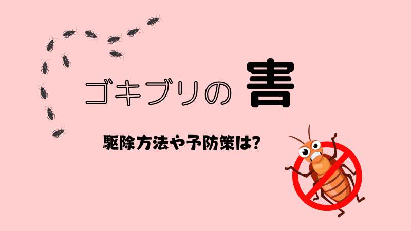 害虫駆除業者を探す (2024年11月更新) | ゼヒトモ