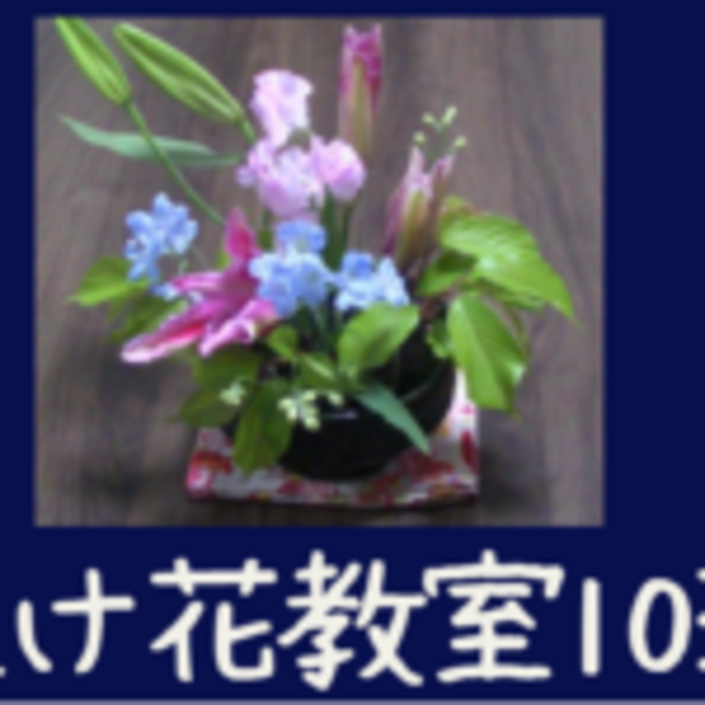 東京の生花教室 生け花スクール10選 流派や値段 初心者向け選び方ポイントは ゼヒトモ